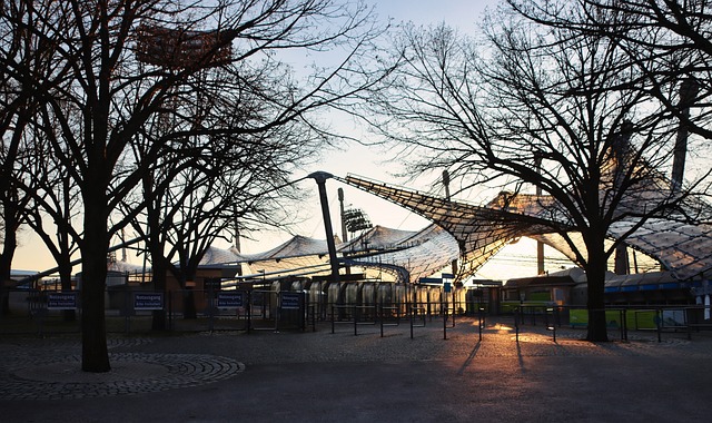 引进一名综 引进一名综