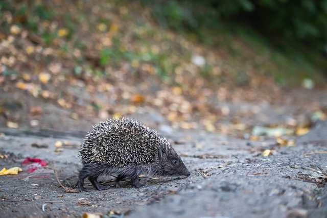 激励着整个 激励着整个