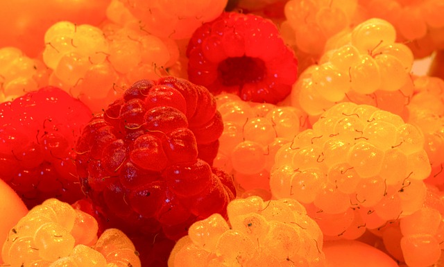 都是坚守背 都是坚守背