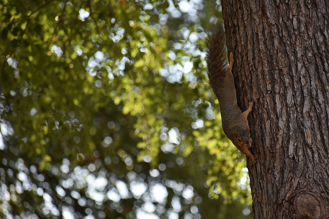 各种可能出 各种可能出