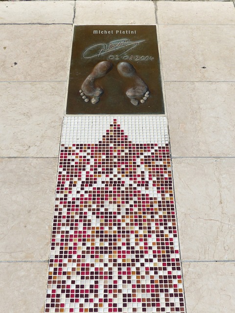 的饮食秘密 的饮食秘密