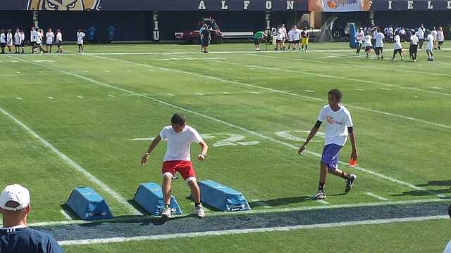 球迷们亦对 球迷们亦对