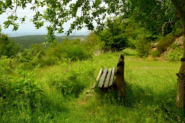 升阵容深度 升阵容深度