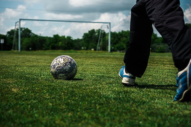 輸系統與生 輸系統與生