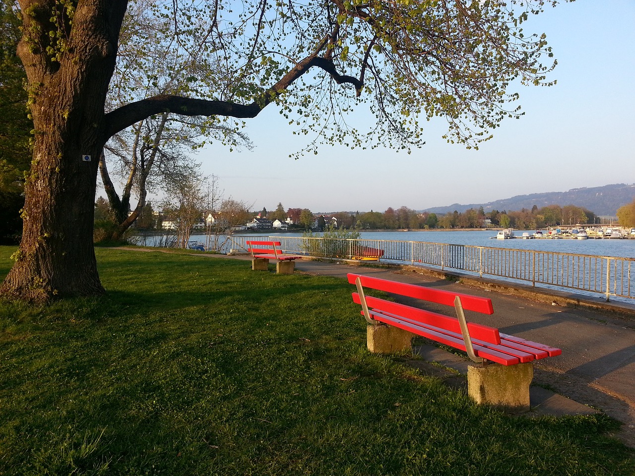 都将为未来 都将为未来