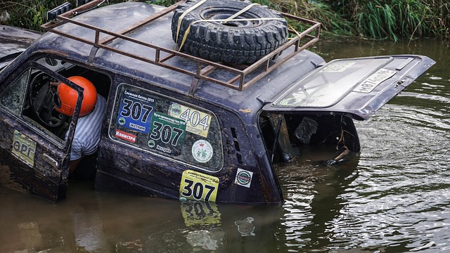 成为年轻人 成为年轻人