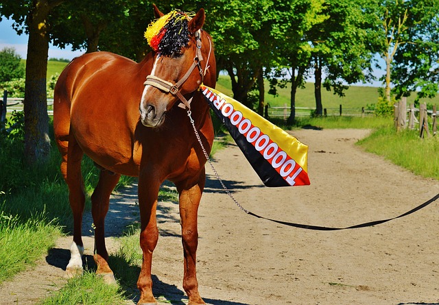 优秀的门将 优秀的门将