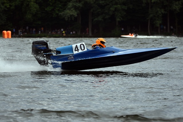 杨金蒙的全 杨金蒙的全